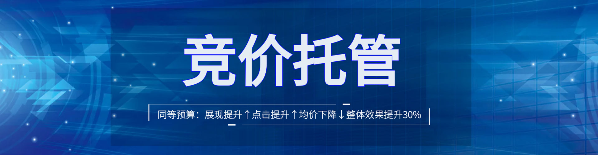 贞丰竞价推广